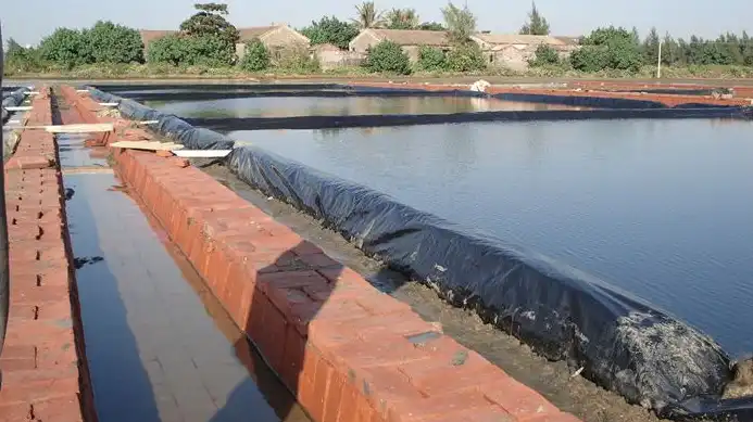 How many years can fish pond impervious membrane be used?