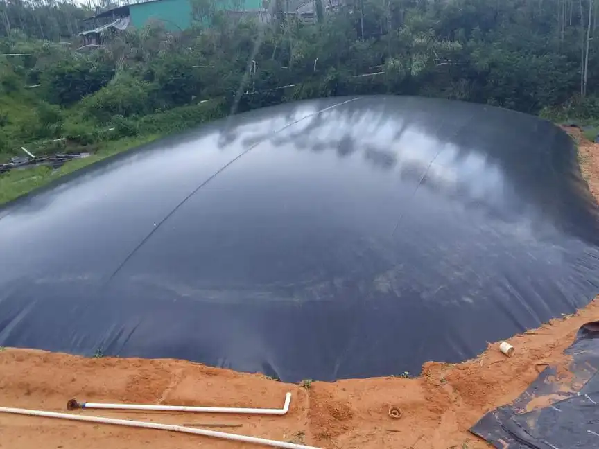 Black film biogas pond project case